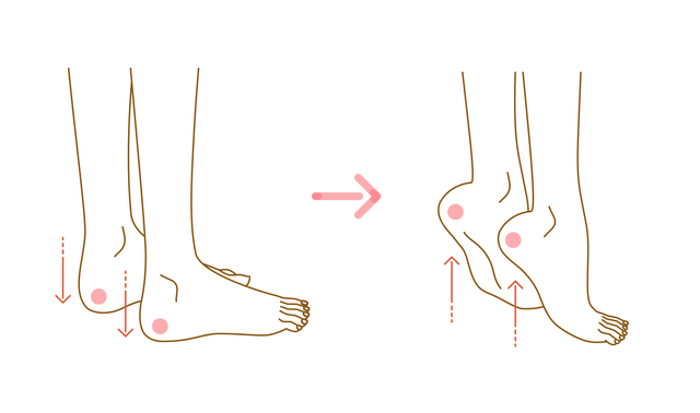 かかと上げ下げ