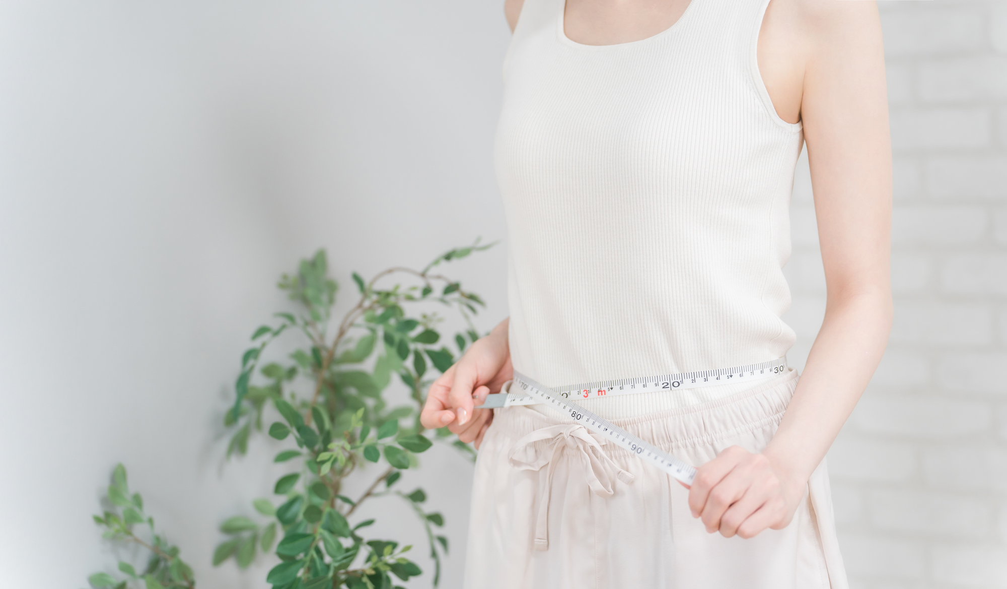 スリーサイズの理想