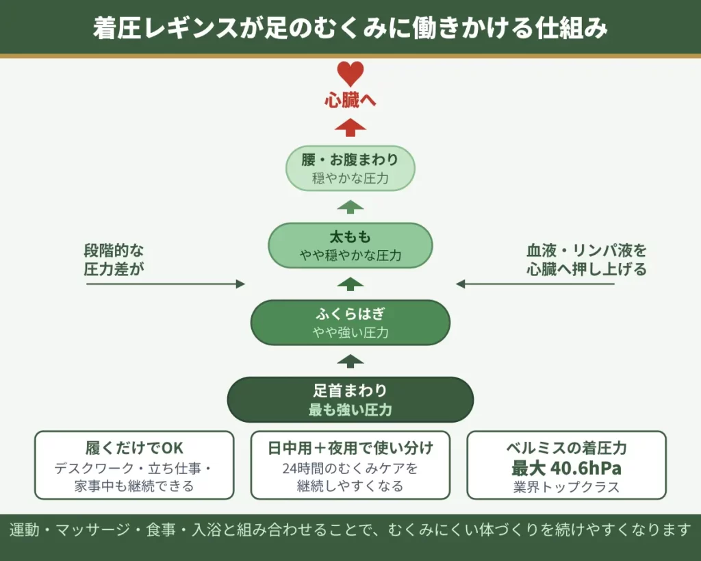 着圧レギンス仕組み
