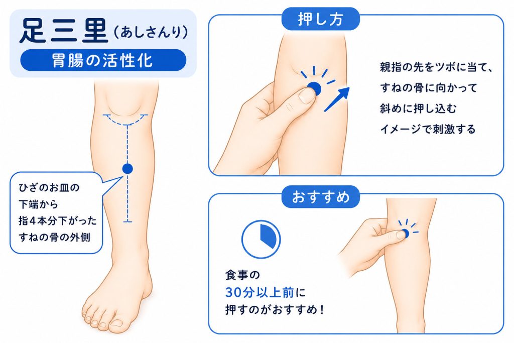 足三里(あしさんり)|胃腸の活性化