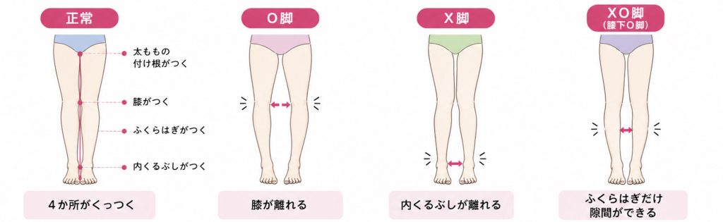 両足をそろえて立ち膝・ふくらはぎの隙間を見る